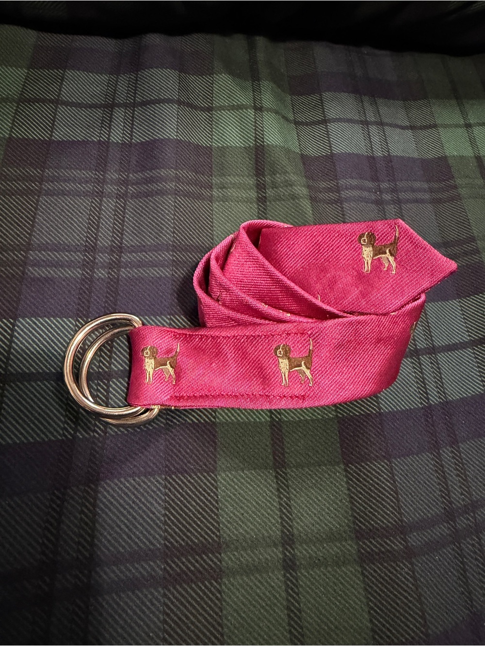 J. Crew Pink D-Ring Belt with Gold Dog Embroidery